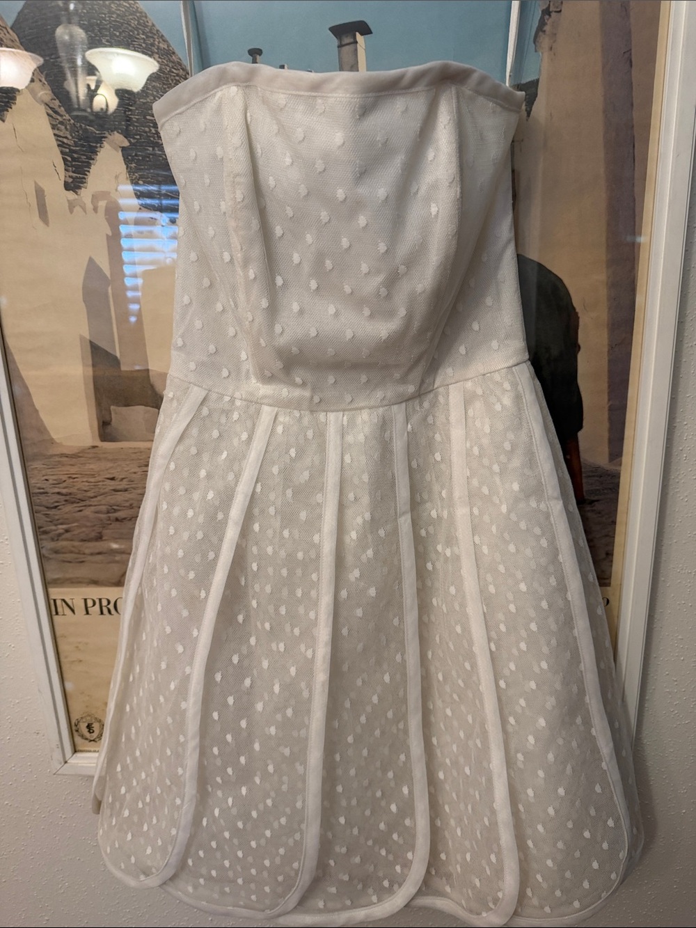 White Strapless Victoria Costa Vintage Swiss dot Dress size 4